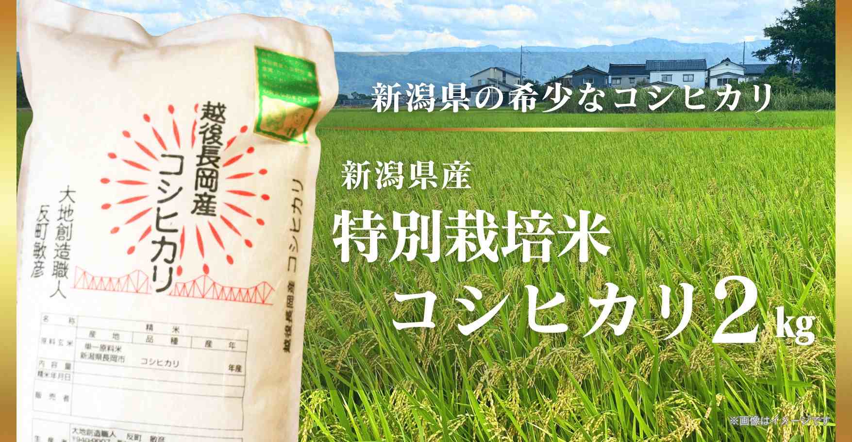 新潟県産 特別栽培米コシヒカリ 2㎏